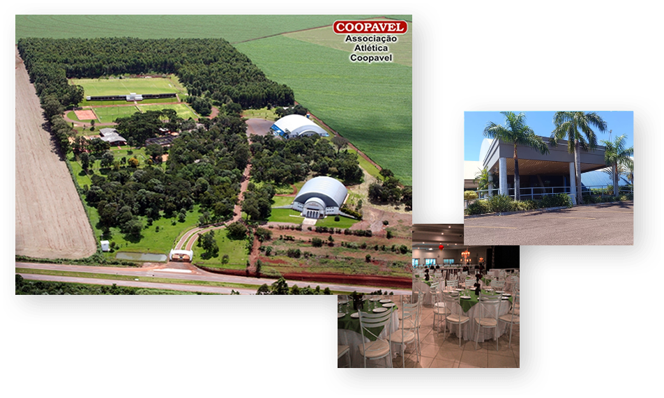 Conheça a Associação Atlética Coopavel